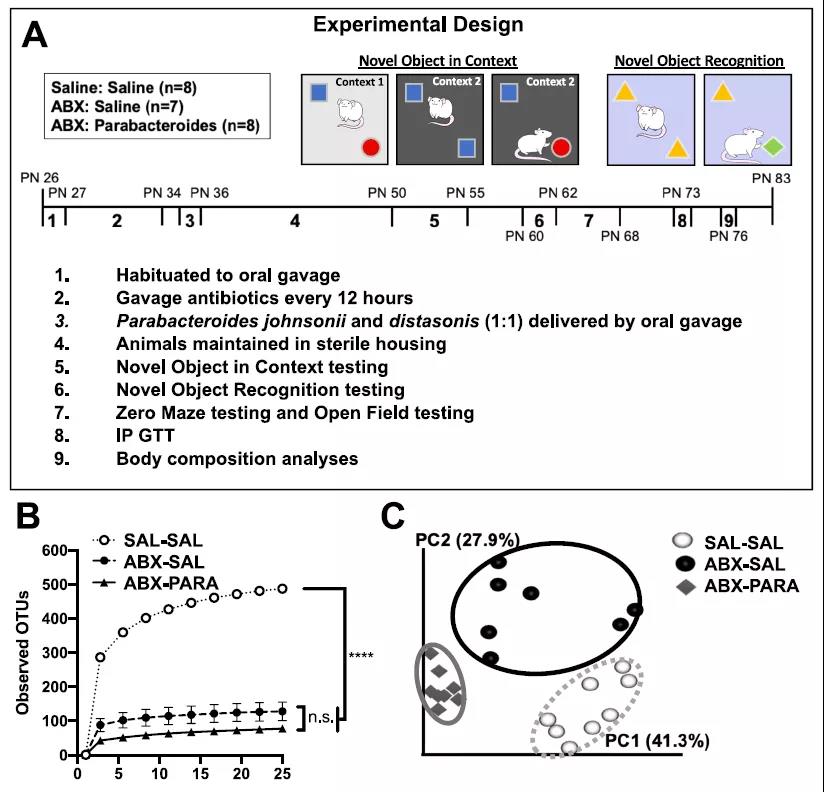 美国加州大学研究发现：青春期前糖吃多了，孩子长大会变“笨”