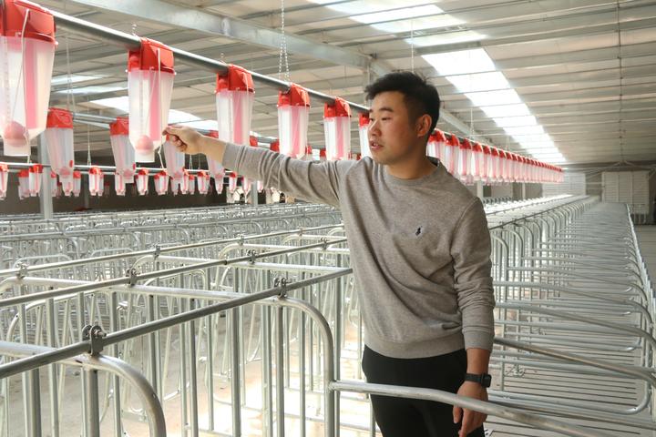 养猪场招博士生,养猪场硕士招工