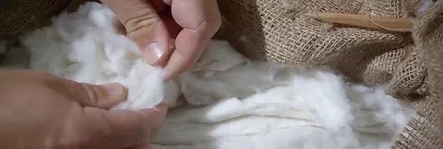 鍖呯鏃ヨ鍏ㄩ泦瑙h,鍖呯鏃ヨ鎺ㄨ崘