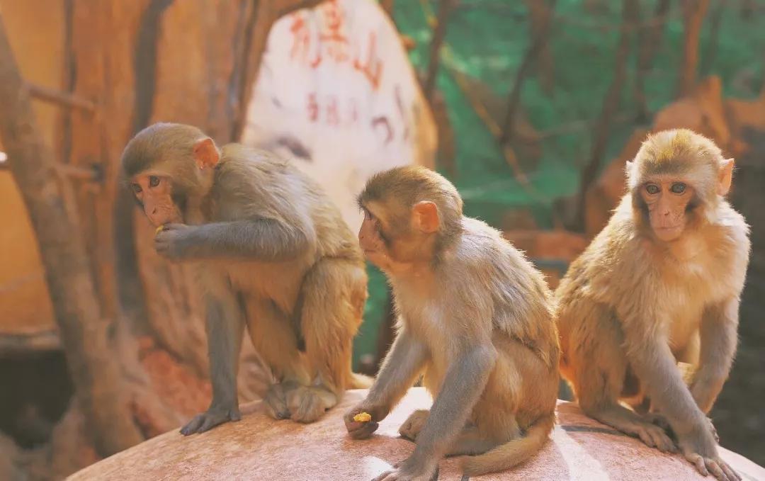 9月云南旅游景点攻略大全,云南旅游景点一日游排名前三