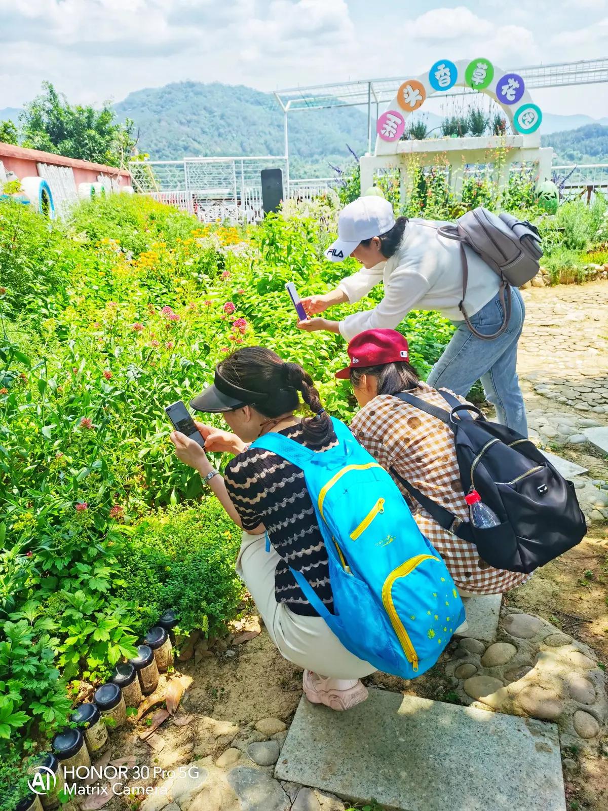 斜溪村旅游规划,斜溪村度假村