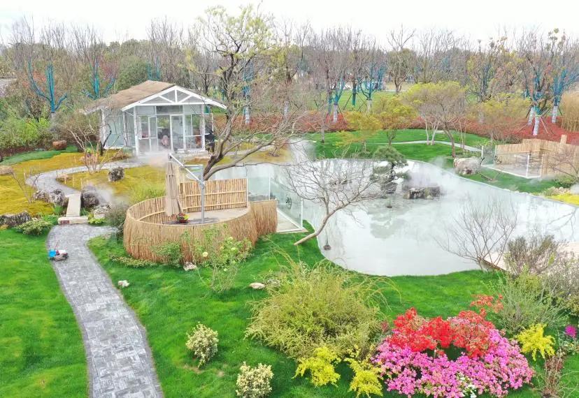 花展的意义,花展布展情况介绍