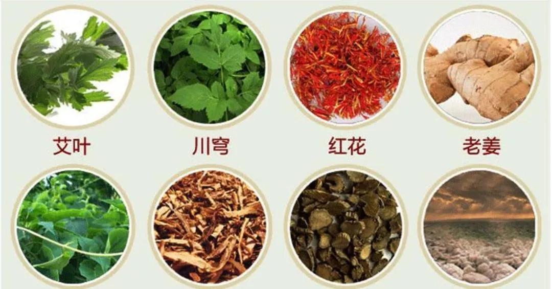 野生植物类中药一览表,民间中药植物