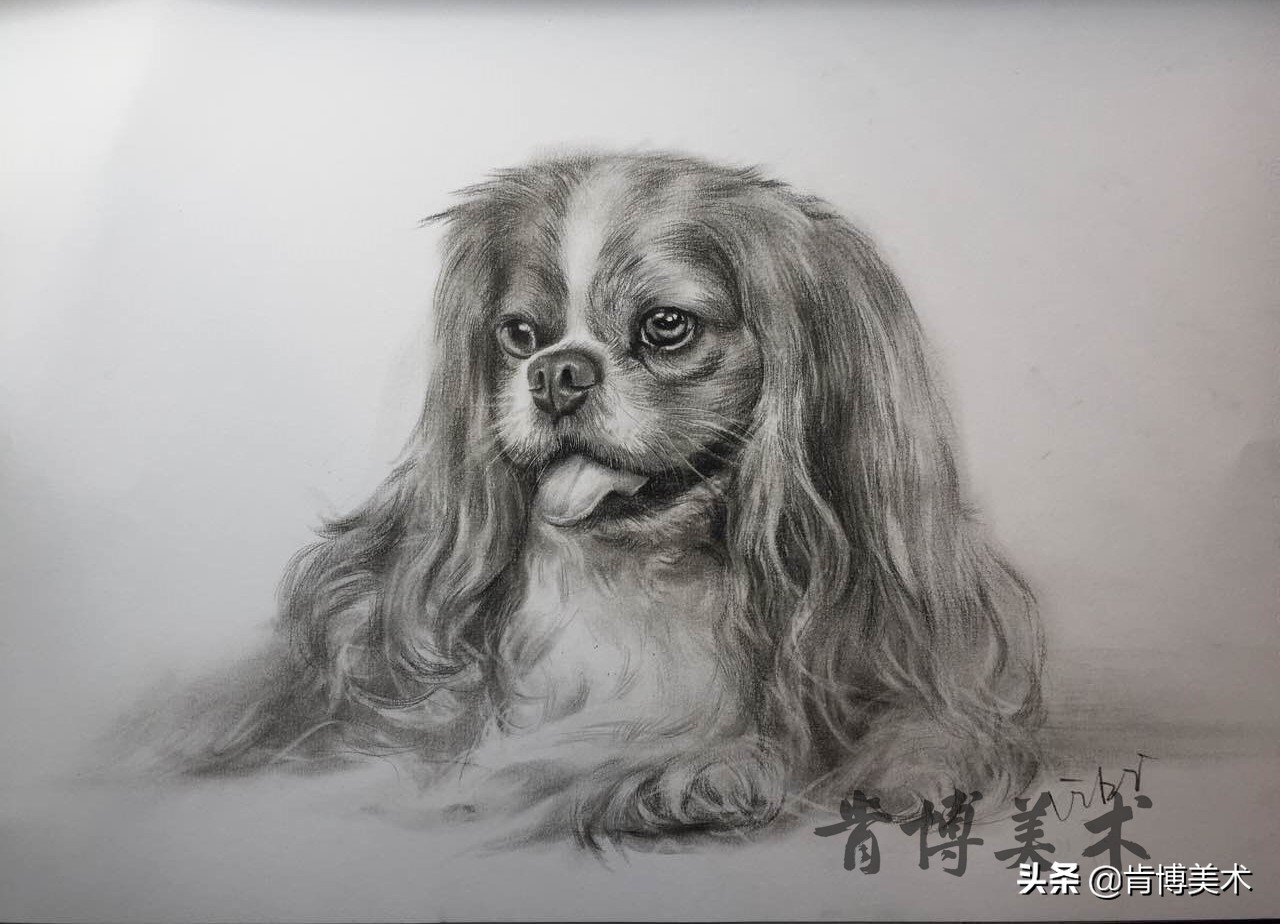 动物毛发素描,素描如何表现动物毛发