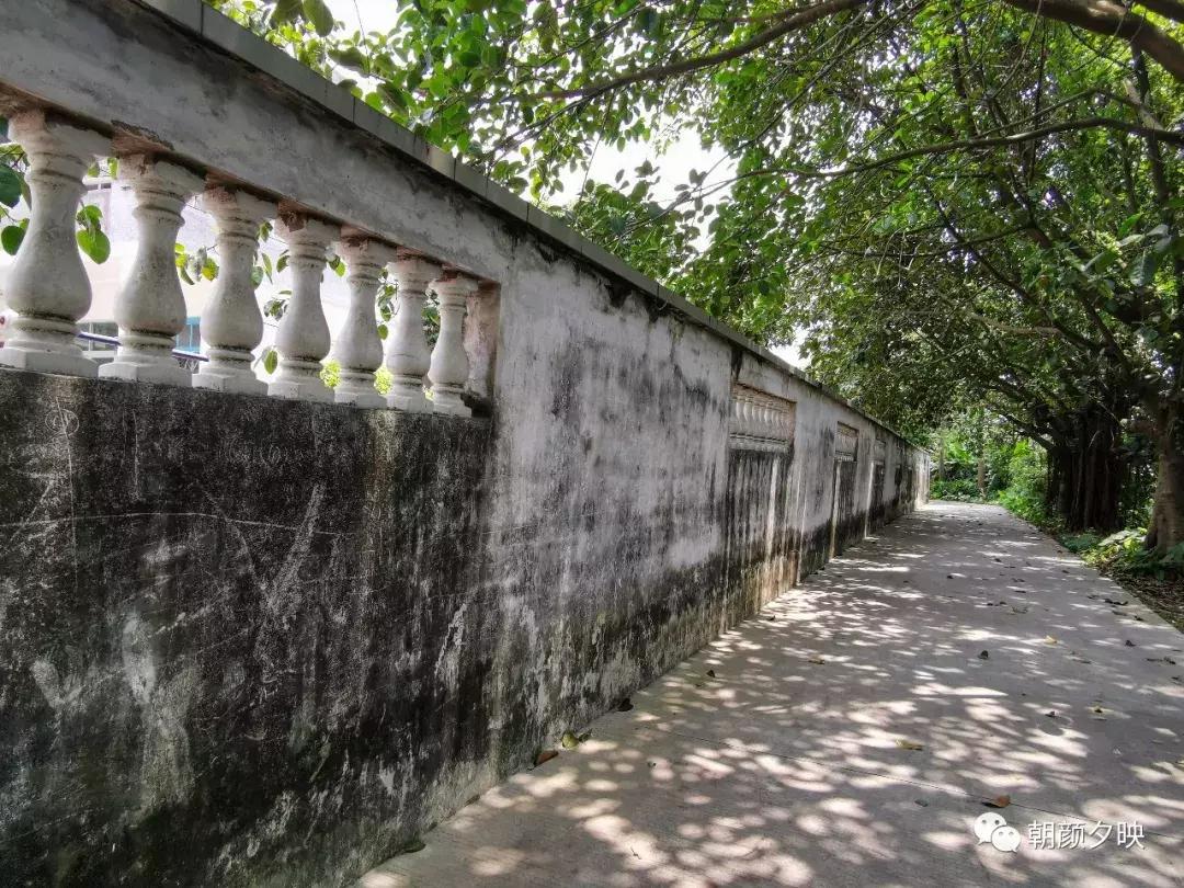 岐阳梧桐起凤环，鹭兮鹭兮寻不见（上）