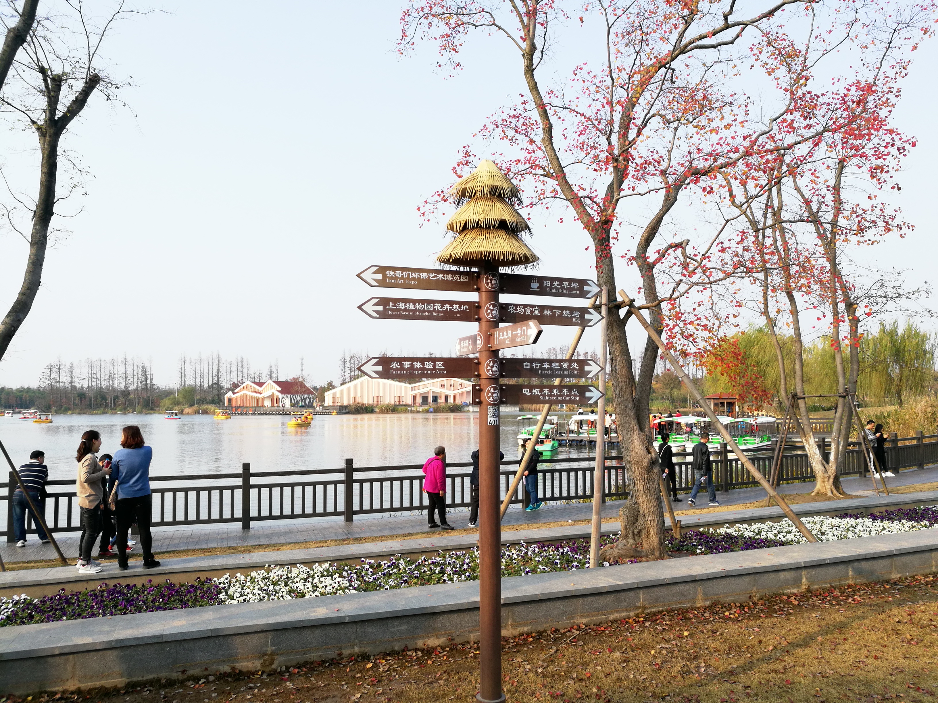 上海长兴岛郊野公园可以看见海吗,长兴岛郊野公园离上海站有几公里