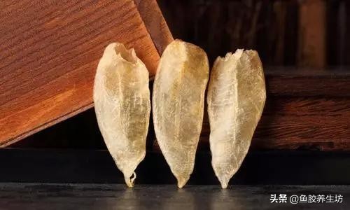 鱼胶知识书籍,鱼胶的知识抖音视频