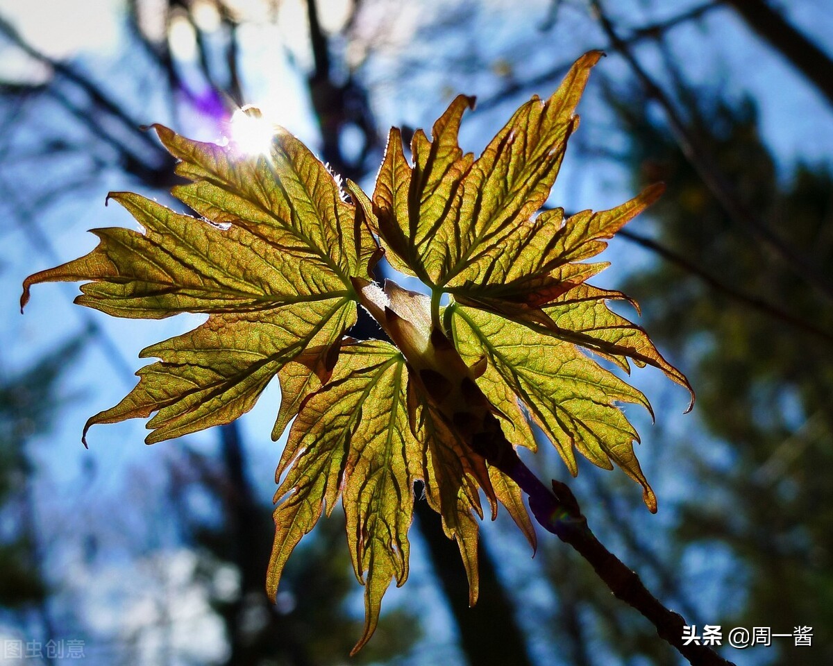 搞砸三家公司被称最差CEO,50岁后再创业,她靠二手买卖年入过亿