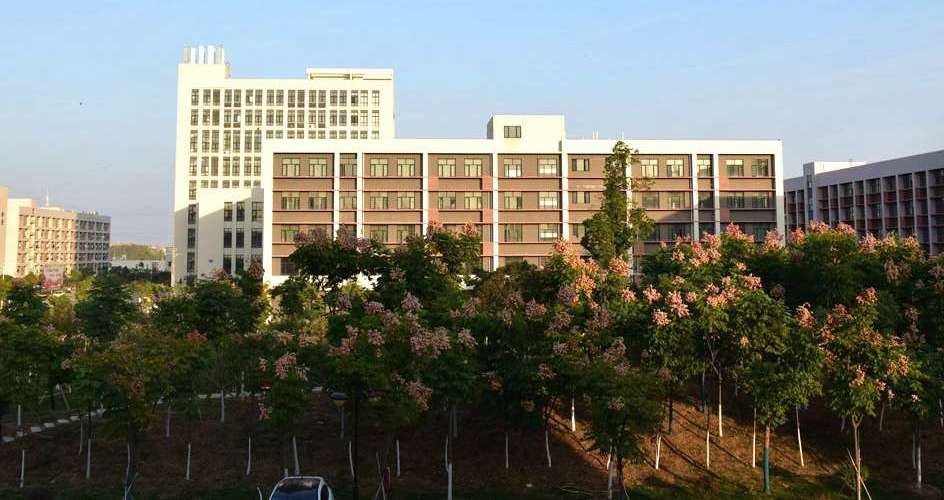 武汉文理学院商学院,武汉文理学院在沌口