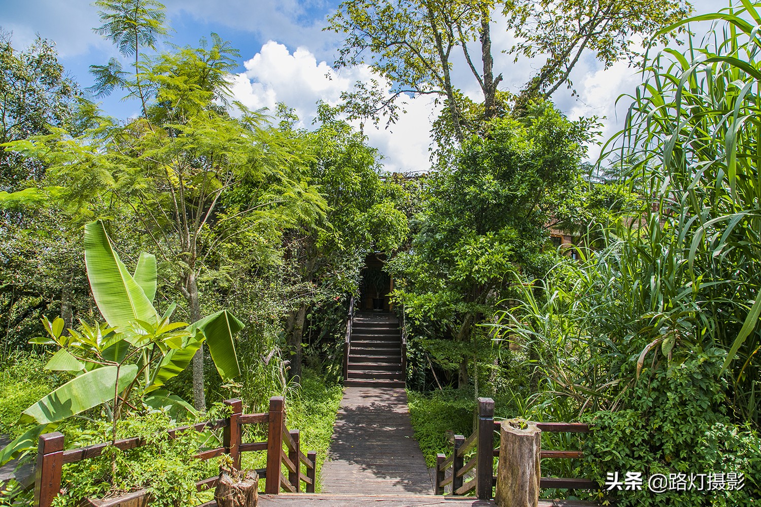 中国南方最适合避暑的城市,气候湿润四季如春的宜居城市