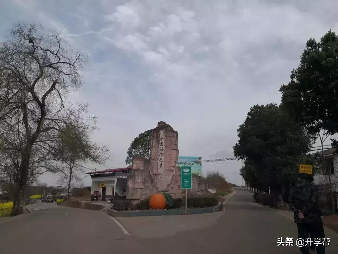 成都看花玩水,成都春游看花