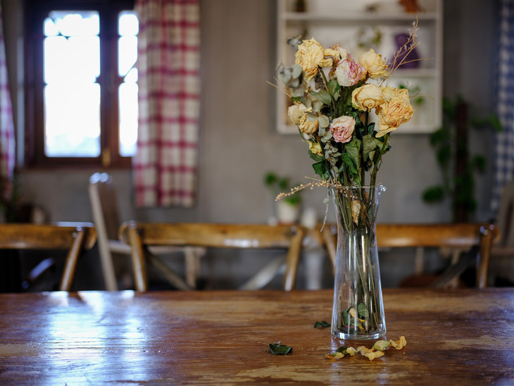 富士gfx50s2代中画幅相机值得买吗,富士中画幅相机gfx50sii测评