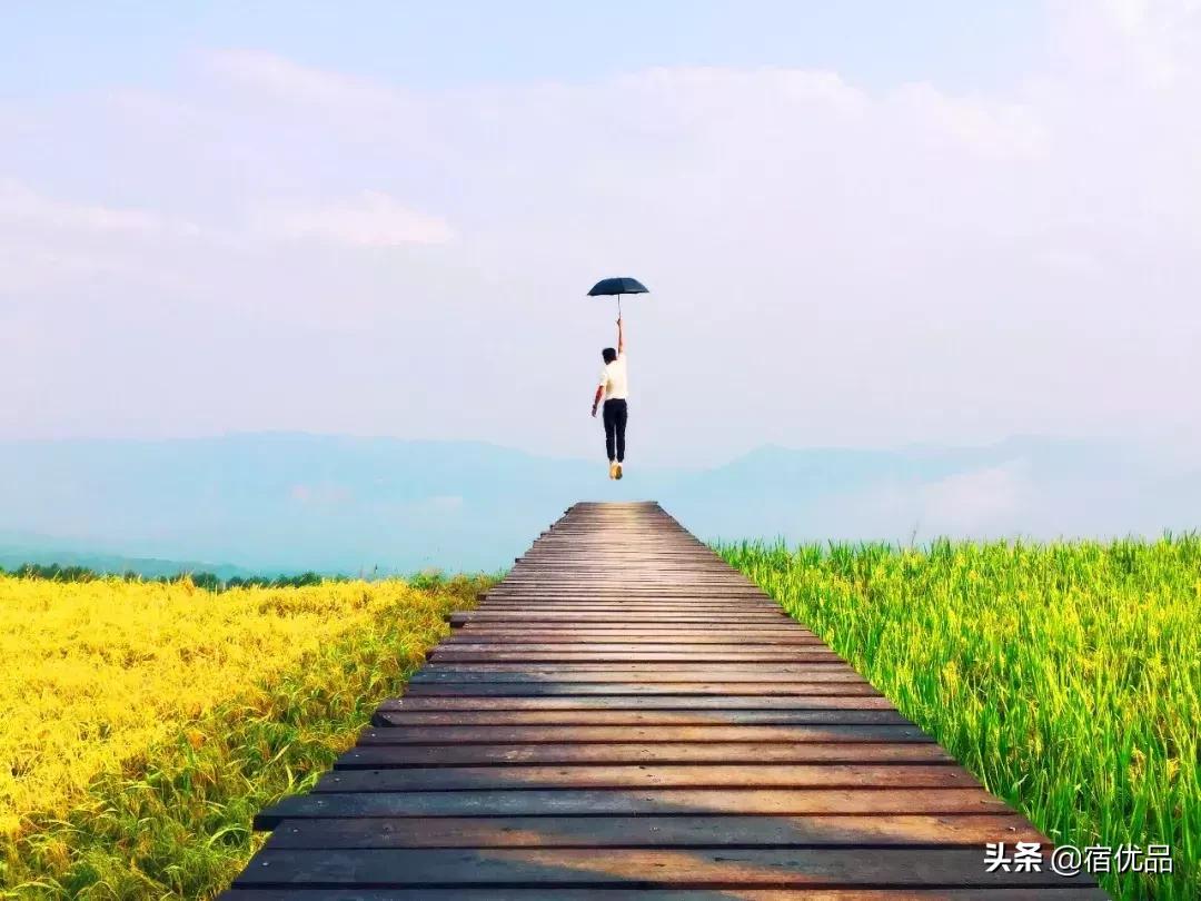 浙江游玩攻略大全推荐,浙江苍南旅游景点攻略