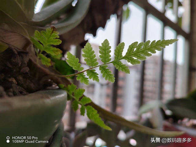 1亿像素100w快充手机,1亿像素100w快充120hz超曲屏