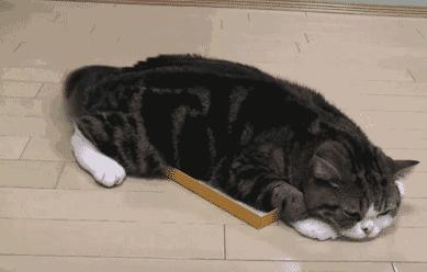 什么动作可以矫正尾骨,骶尾骨痛有哪些动作可以改善