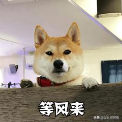 人人都在吹的日本整体卫浴有多坑?今天给你扒一扒