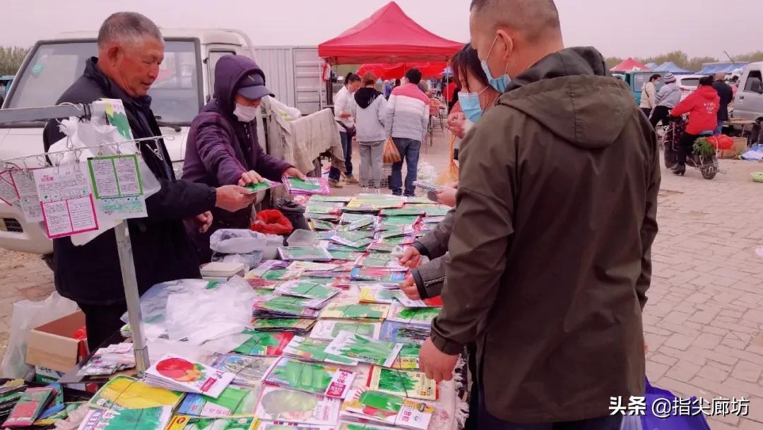 廊坊杨税务集市,在早市遇见久违的人间烟火气