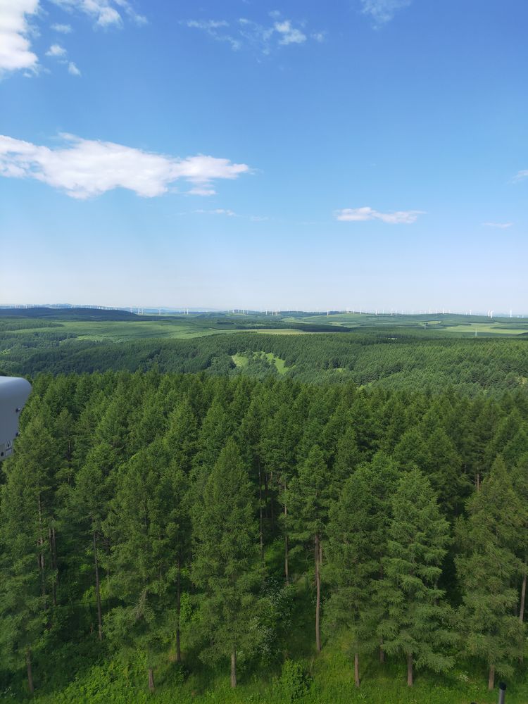 美丽的高岭塞罕坝,美丽的高岭朗诵