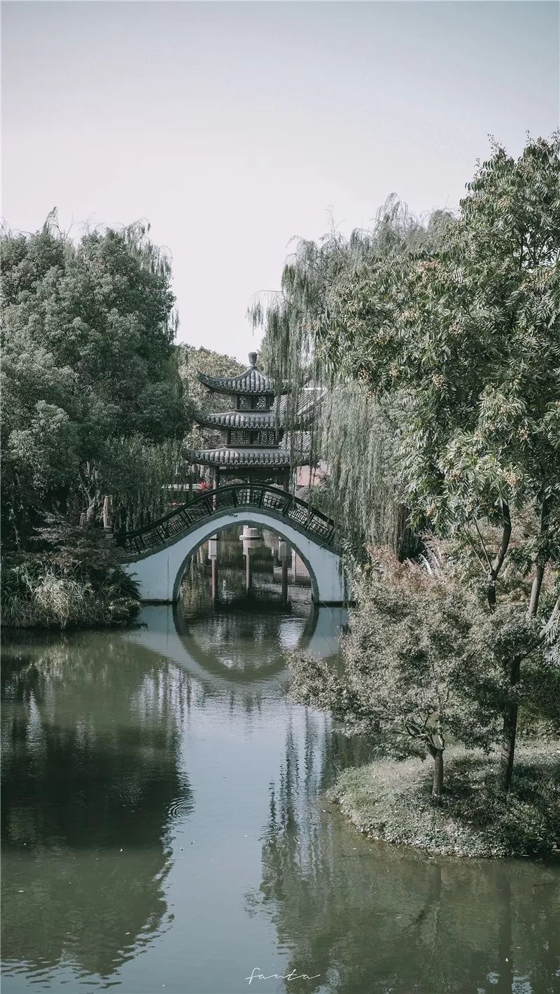 西溪天堂令人沉醉的江南梦境,城市的夜晚江南水乡美如画