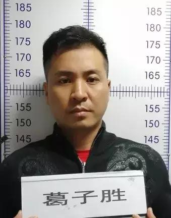 合肥市涉黑涉恶团伙案件,合肥西门战神