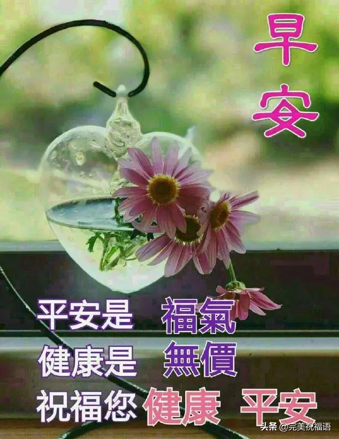 朋友圈最美早上好问候祝福语,最新早上好暖心祝福问候语句简短