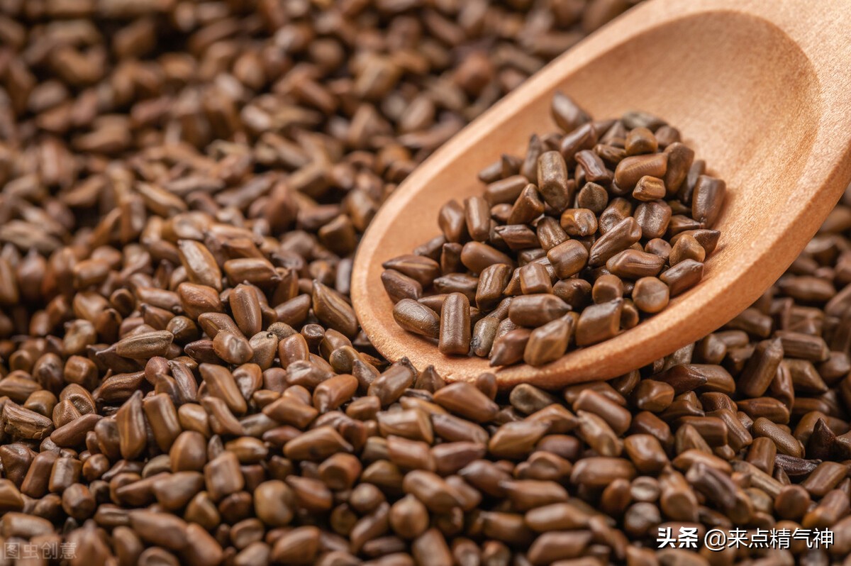 荷叶茶减肥茶祛湿第一名,虚胖湿气重怎样喝荷叶茶