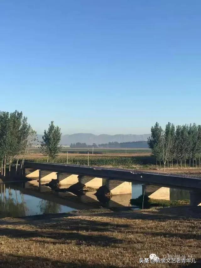 卫辉人那些昼思夜想的桥！究竟有何魔力？