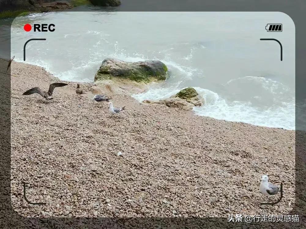 山东威海海驴岛攻略,山东海驴岛旅游攻略