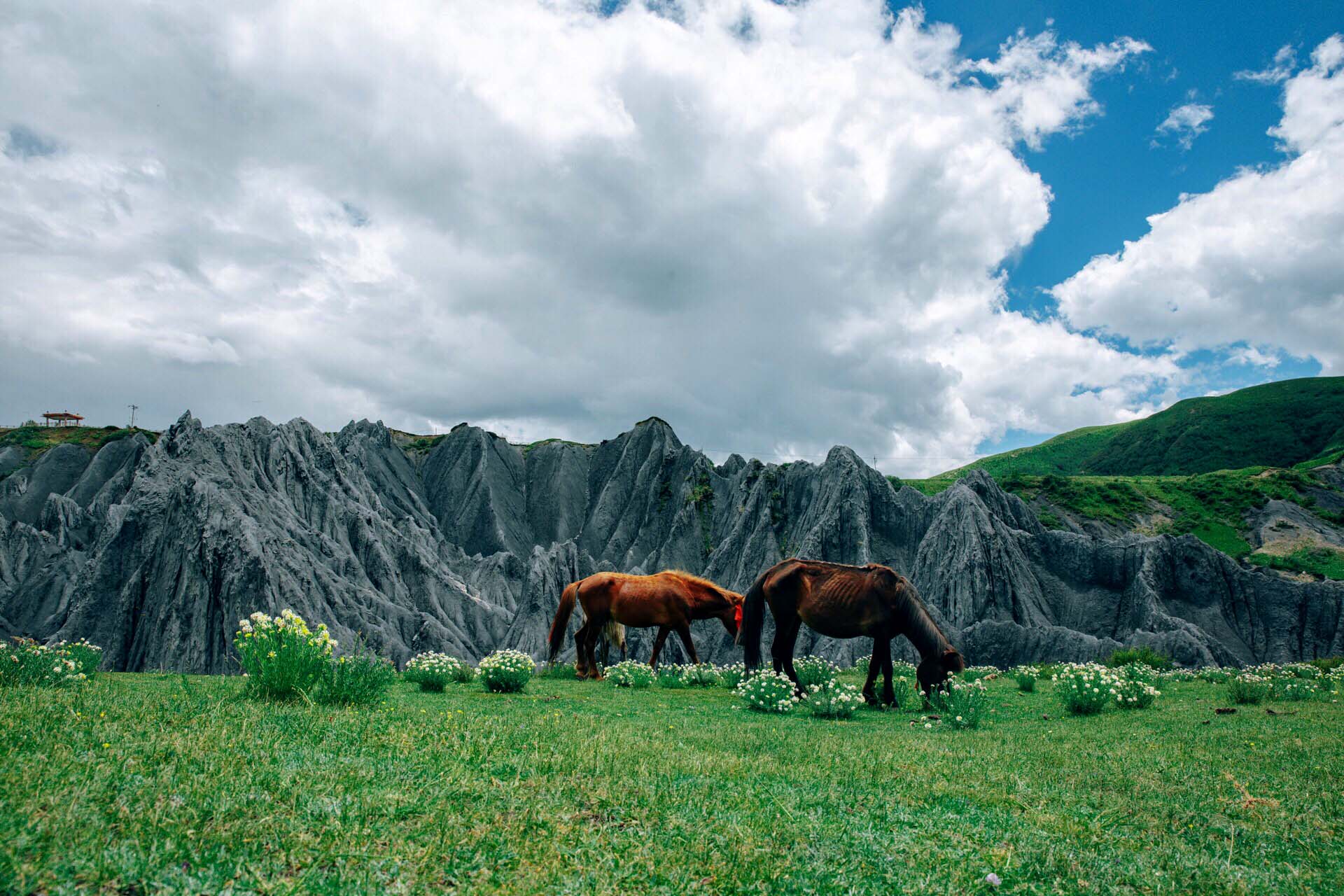 天下第一奇观石林风景区,石林秘境景区