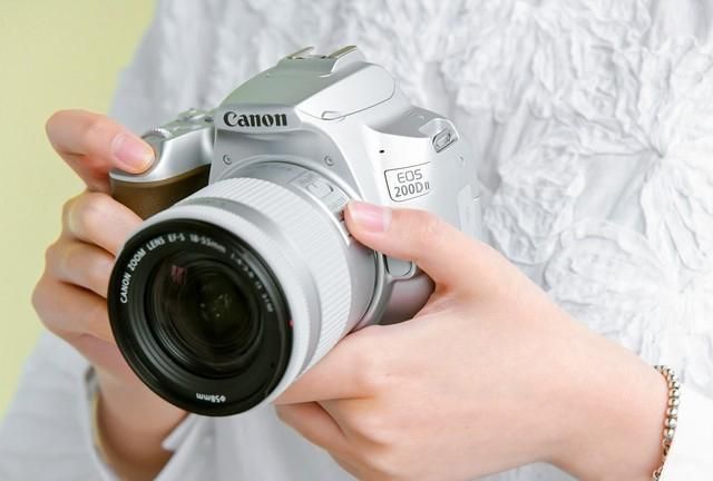 单反新手入门买什么镜头,单反相机什么牌子好新手入门用