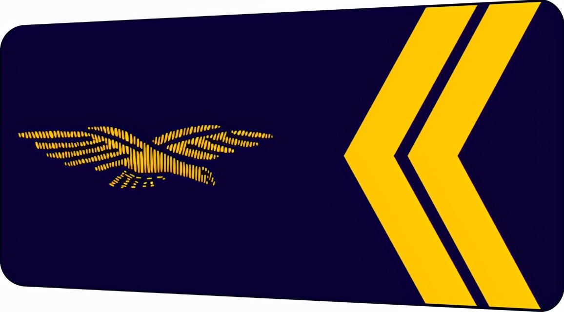 法国将军军衔等级,法国上校是什么军衔