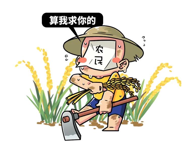 十二生肖谜面揭秘,十二生肖还有哪些关于数学的问题