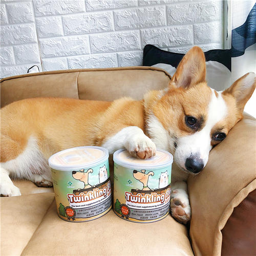 夏季狗狗掉毛严重是什么原因,柴犬夏天掉毛严重正常吗