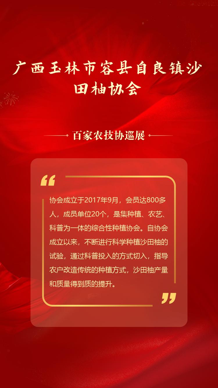 广西容县自良镇沙田柚种植户,广西容县自良镇沙田柚商会会长