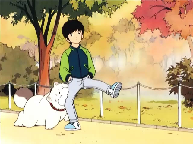 帮忙回忆童年动画片,上海电视台动画片