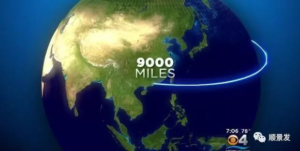 30年的鱼贩，如今变革让用户在APP上采购全球海鲜