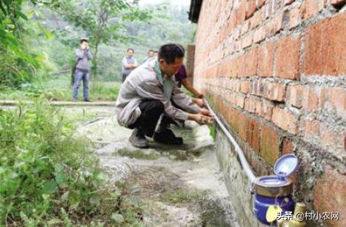 农村干什么生意最好最赚钱项目,农村做什么致富最快