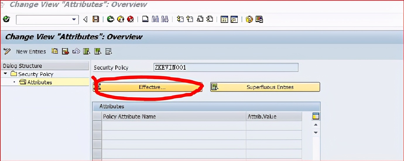 sap默认密码,sap设置用户可以自己改自己的密码