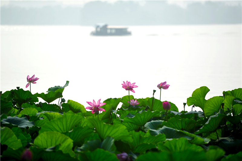 山东省11个5a级景区免费,山东景区排名前十名一日游