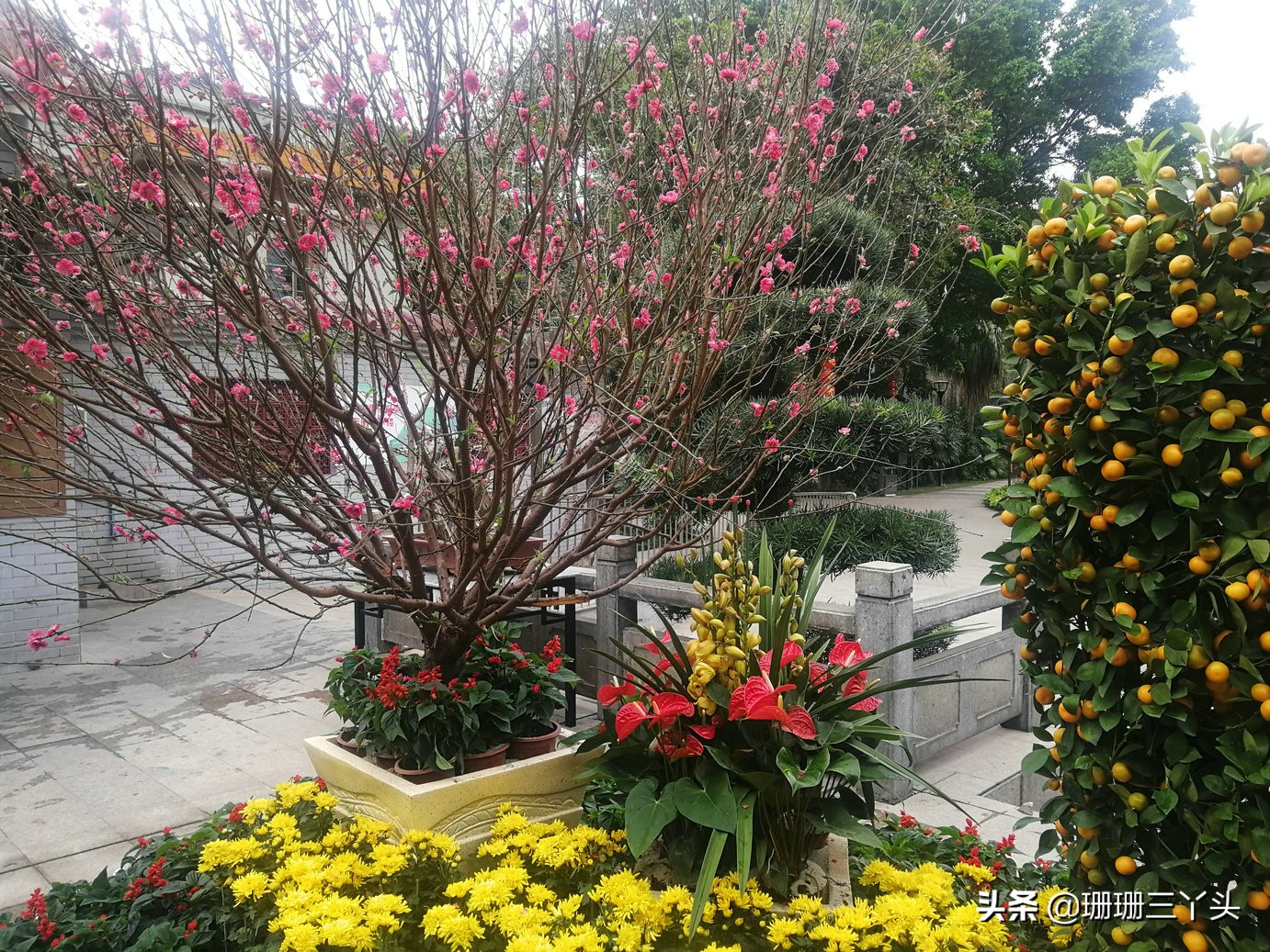 花市探秘,探访广州古村落