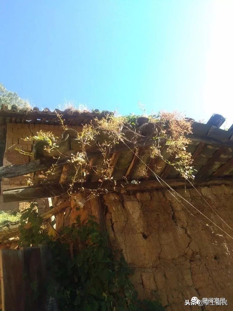 家乡是我们成长的沃土,家乡是生养我们的地方