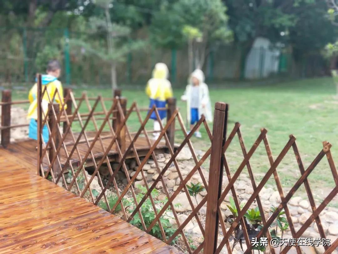 华德福教育的争议是什么,华德福教育的利与弊