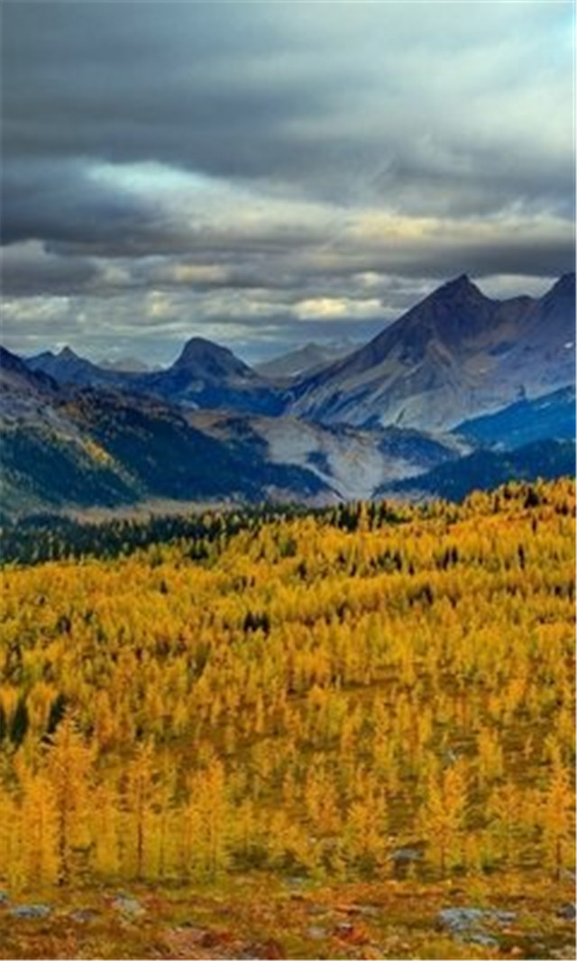 高清风景壁纸无水印全屏壁纸,风景壁纸手机壁纸