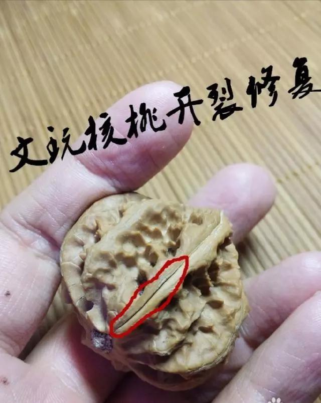 核尖开裂是正常现象吗,核壁容易开裂