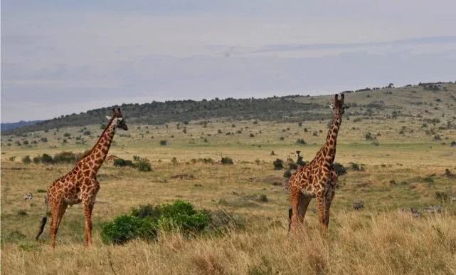 什么是非洲？这12处惊艳之地告诉你