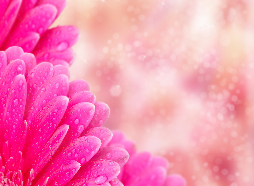 令公桃李满天下,何用堂前更种花。读古诗词,致敬辛苦的园丁