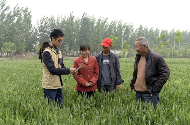 河南农村老伯埋怨自己“话太多,管太宽”害得儿子离了婚,咋回事