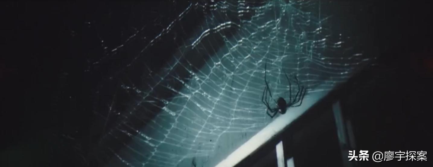 名侦探鹦鹉,名侦探鹦鹉破案