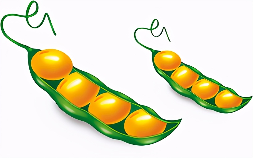 鑷湪鑸掑績,鍏斿疂瀹濊垝蹇冩澘