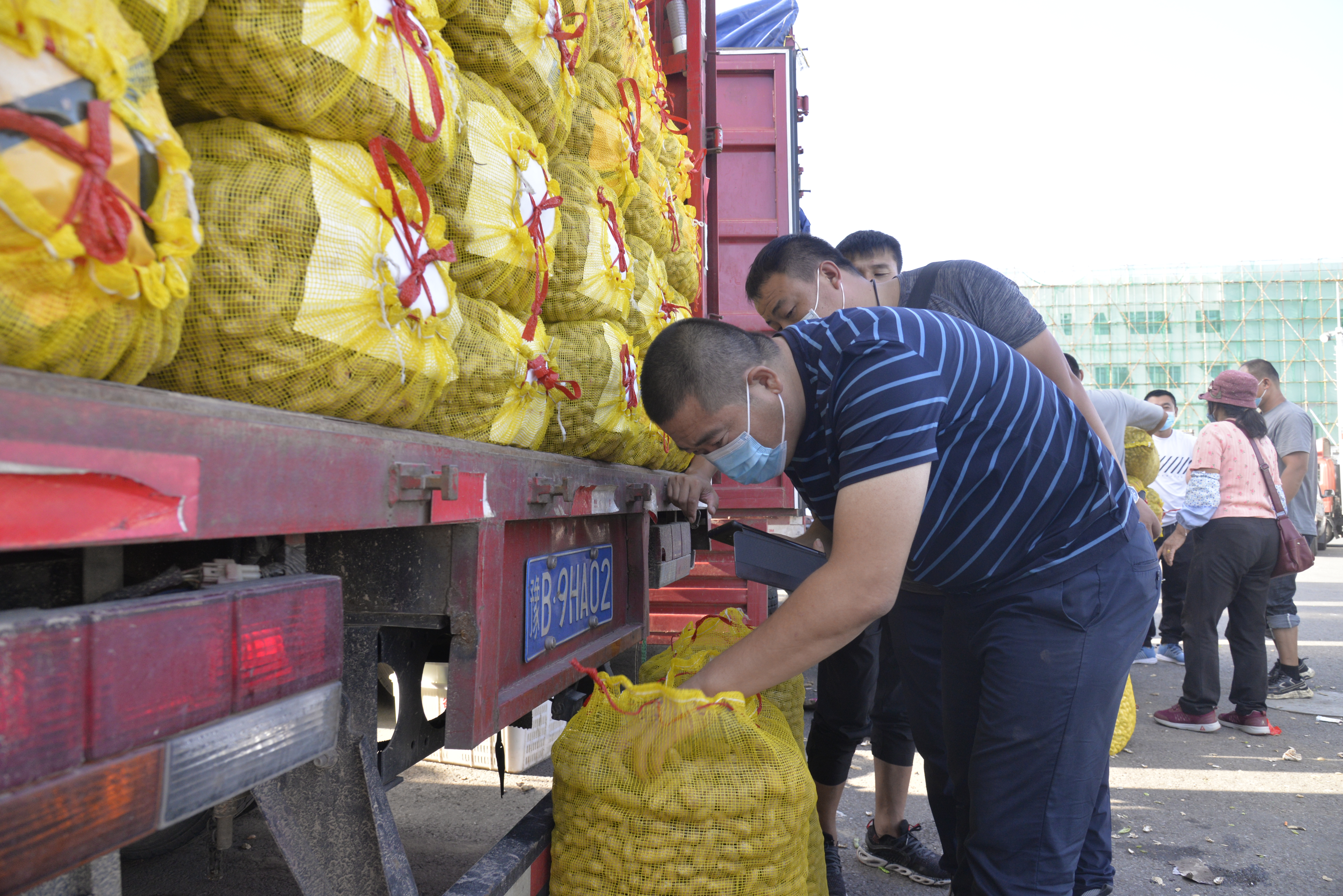 从黑土地走来的人是谁,从黑土地走出来的歌唱家